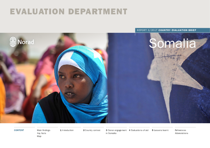 국가 평가서 : 소말리아 (Country evaluation brief: Somalia)