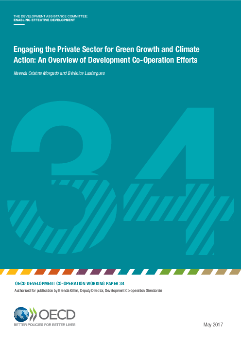 민간부문의 녹색 성장 및 기후 대응 참여 : 개발협력 노력 (OECD Development co-operation working paper 34: Engaging the private sector for green growth and climate action: an overview of development co-operation efforts)