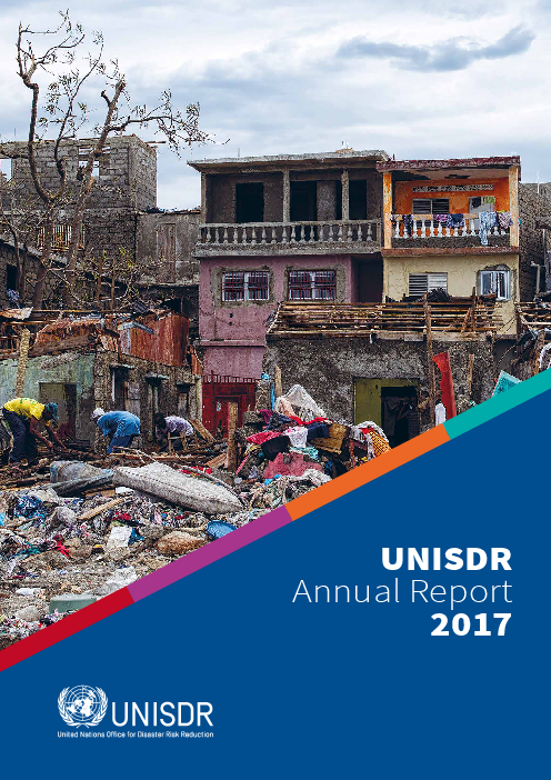 유엔재해경감국제전략사무국 2017 연례 보고서 (UNISDR Annual Report 2017)