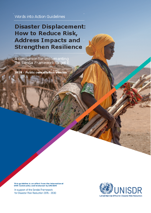 이재민 이주(disaster displacement) : 위험 경감, 영향 고려, 회복력 강화 방법