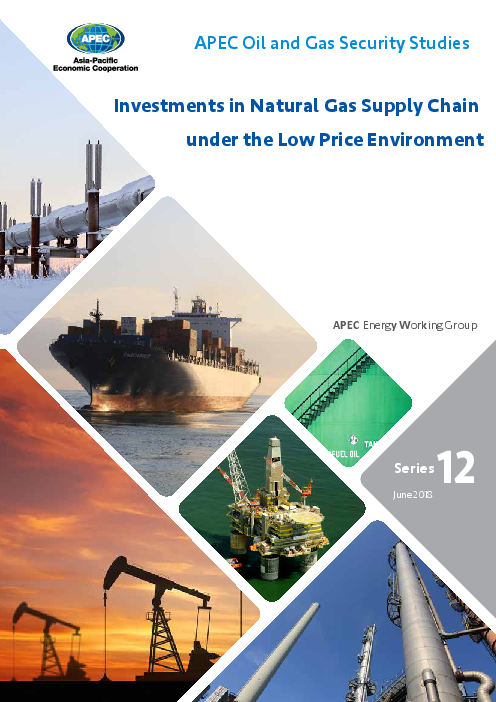 저가 환경에서 천연가스 공급망에 대한 투자 (Investments in Natural Gas Supply Chain under the Low Price Environment)