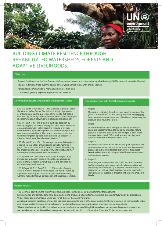 유역 및 숲 회복과 적응형 생계를 통한 기후 회복력 구축 (Building Climate Resilience through Rehabilitated Watersheds, Forests and Adaptive Livelihoods)
