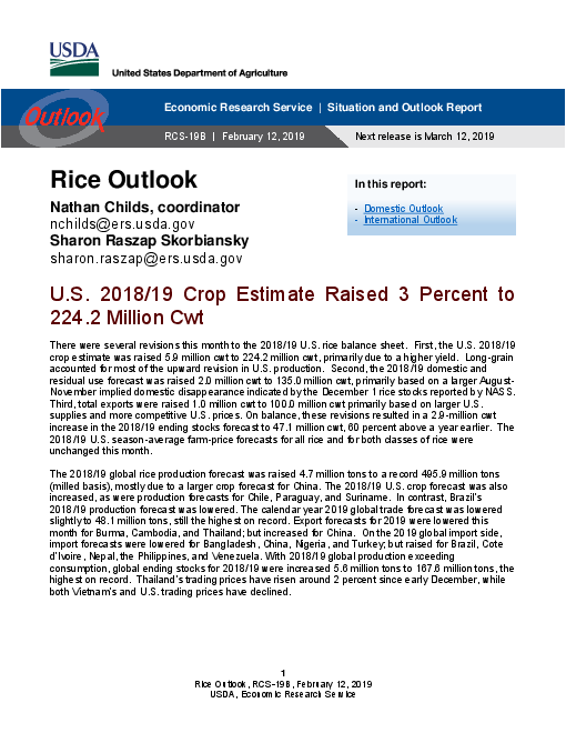 쌀 전망 : 2019년 2월 (Rice Outlook, February 2019)
