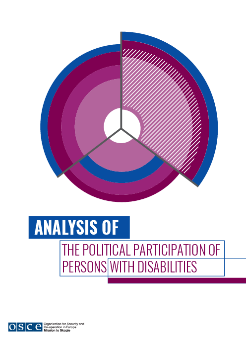 장애인 정치 참여 분석 (Analysis of the Political Participation of Persons with Disabilities)