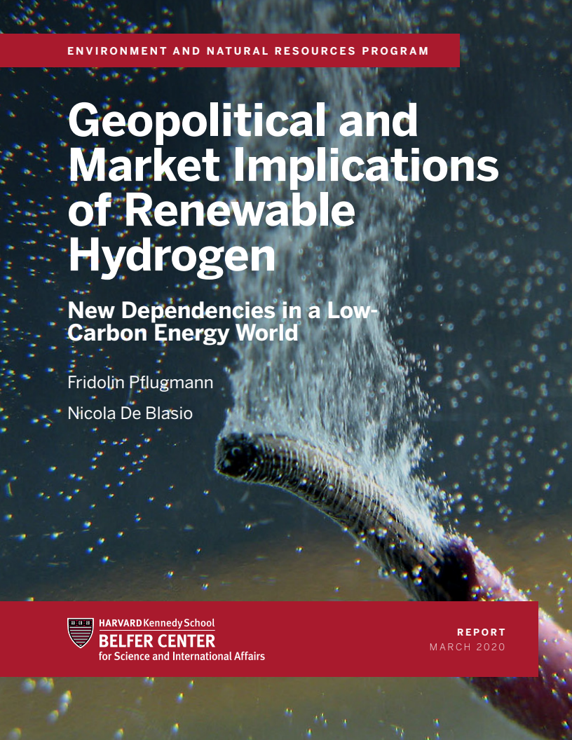 신재생 수소의 지정학 및 시장 차원의 함의 : 저탄소 에너지 세계의 새로운 기반요소  (Geopolitical and Market Implications of Renewable Hydrogen: New Dependencies in a Low-Carbon Energy World)(2020)