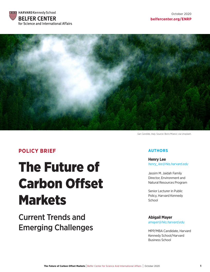 탄소상쇄시장의 미래 : 현재 동향과 새로운 도전 (The Future of Carbon Offset Markets: Current Trends and Emerging Challenges)(2020)