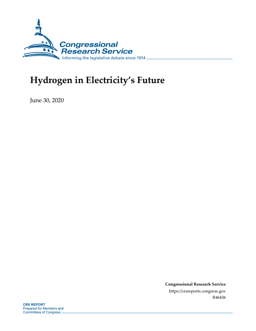 수소에 주목하는 전기의 미래 (Hydrogen in Electricity’s Future)(2020)