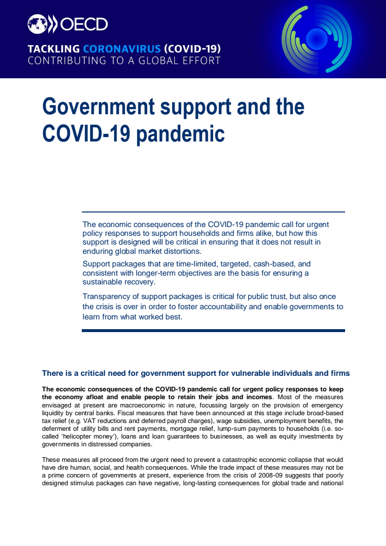 코로나19 대유행과 정부 지원 (Government support and the COVID-19 pandemic)