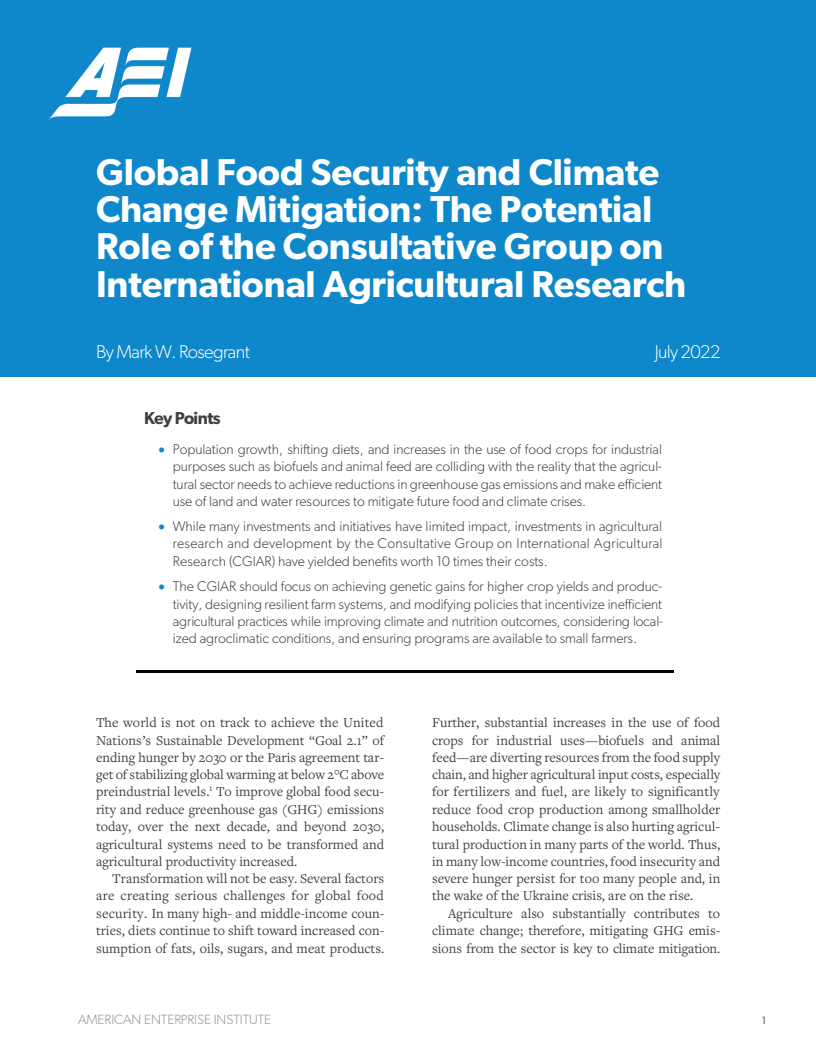 전 세계의 식량 안보 및 기후 변화 완화 : 국제농업연구연합기구가 수행할 수 있는 역할  (Global Food Security and Climate Change Mitigation: The Potential Role of the Consultative Group on International Agricultural Research)