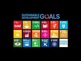 국가 지속가능발전목표(K-SDGs)