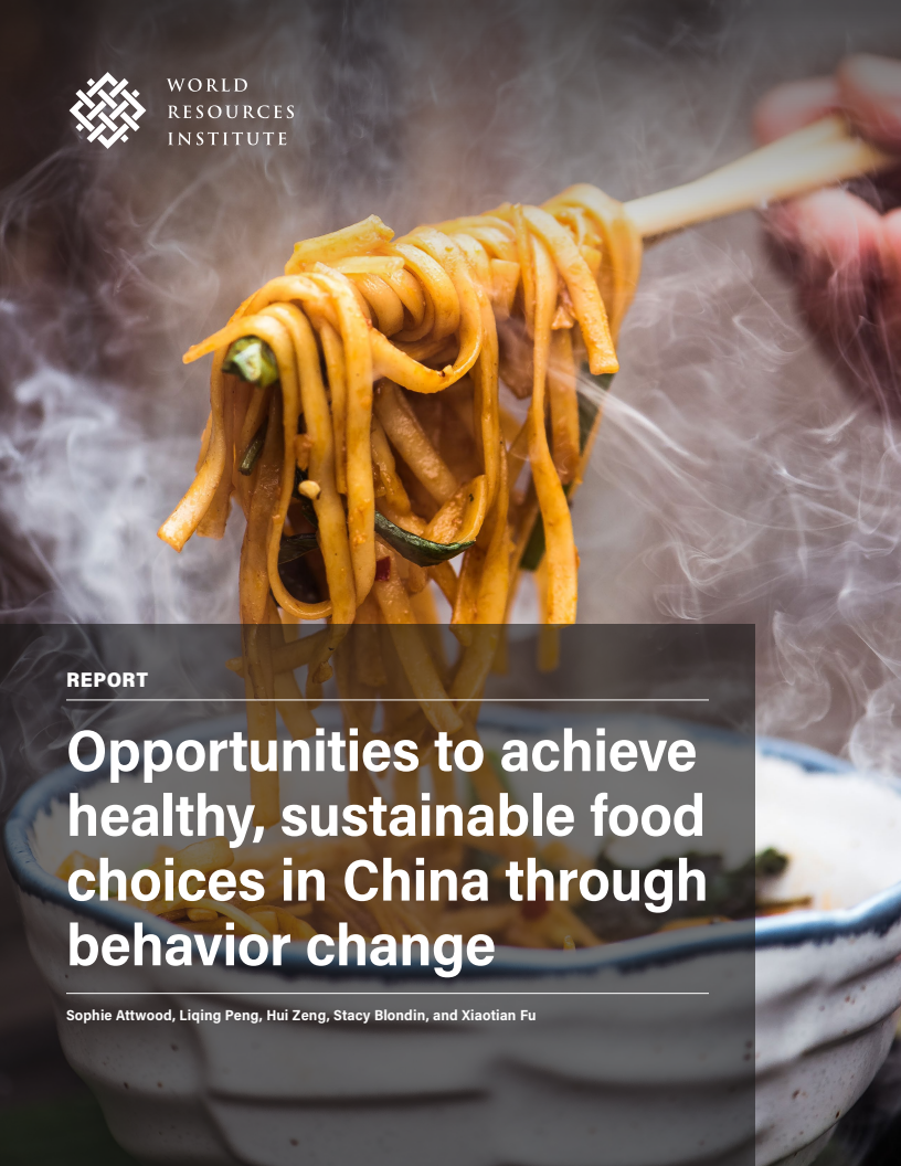 Opportunities to Achieve Healthy, Sustainable Food Choices in China through Behavior Change
