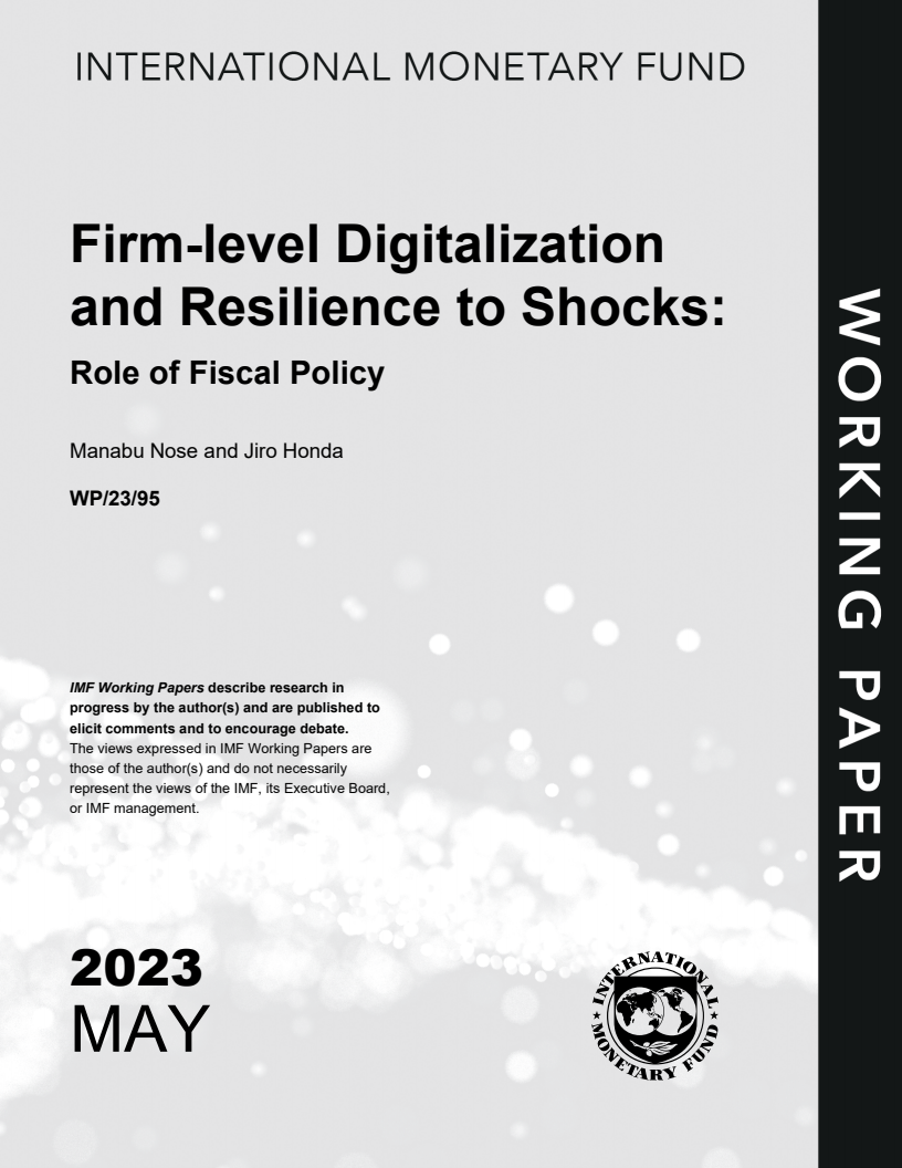 Firm-level Digitalization and Resilience to Shocks: Role of Fiscal Policy