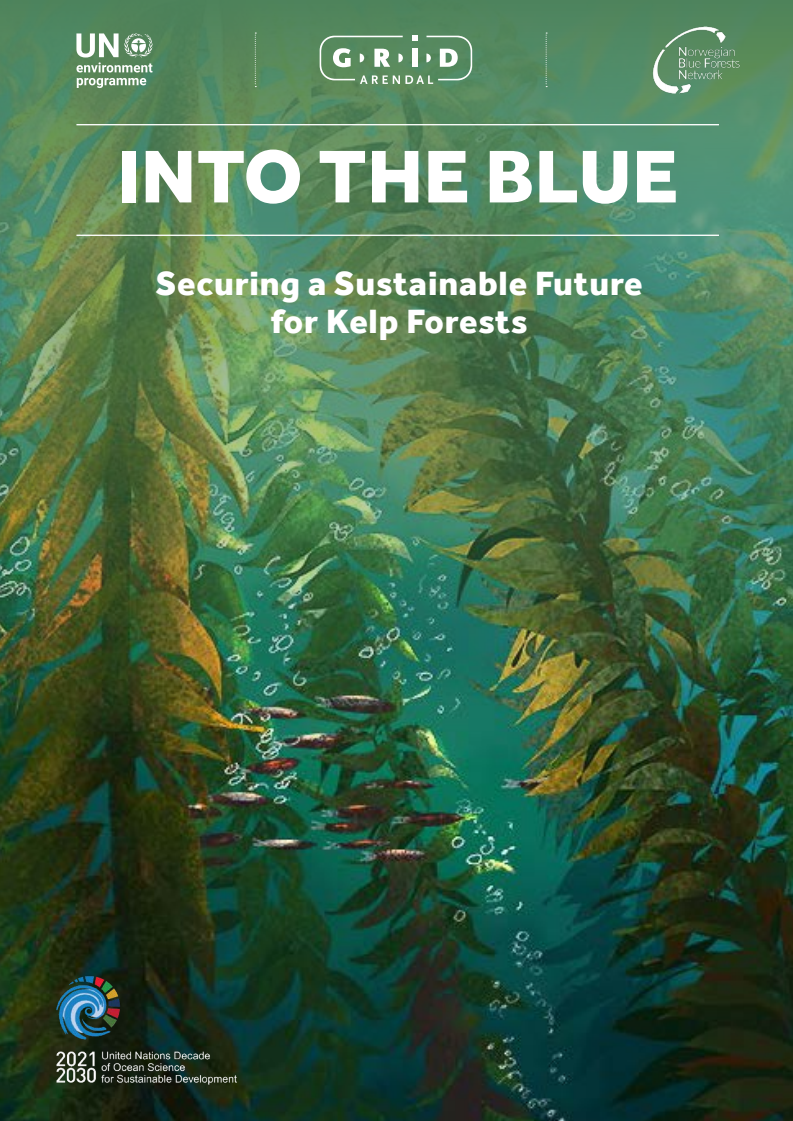 Into the Blue: Securing a Sustainable Future for Kelp Forests