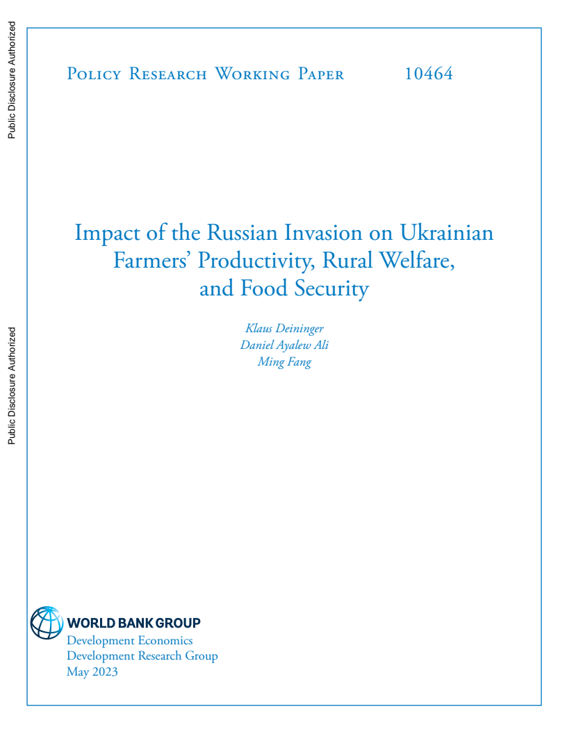 Impact of the Russian Invasion on Ukrainian Farmers' Productivity, Rural Welfare, and Food Security
