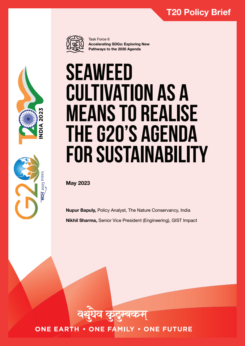 Seaweed Cultivation as a Means to Realise the G20's Agenda for Sustainability