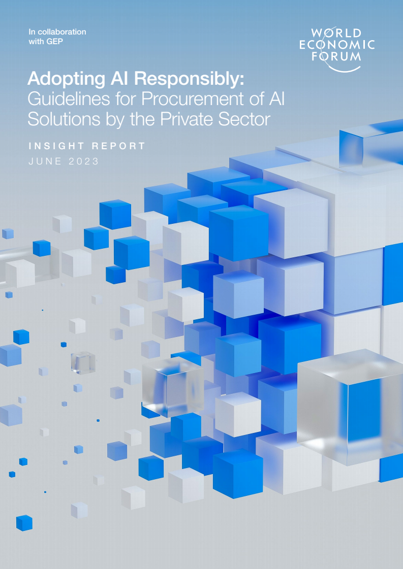 Adopting AI Responsibly: Guidelines for Procurement of AI Solutions by the Private Sector