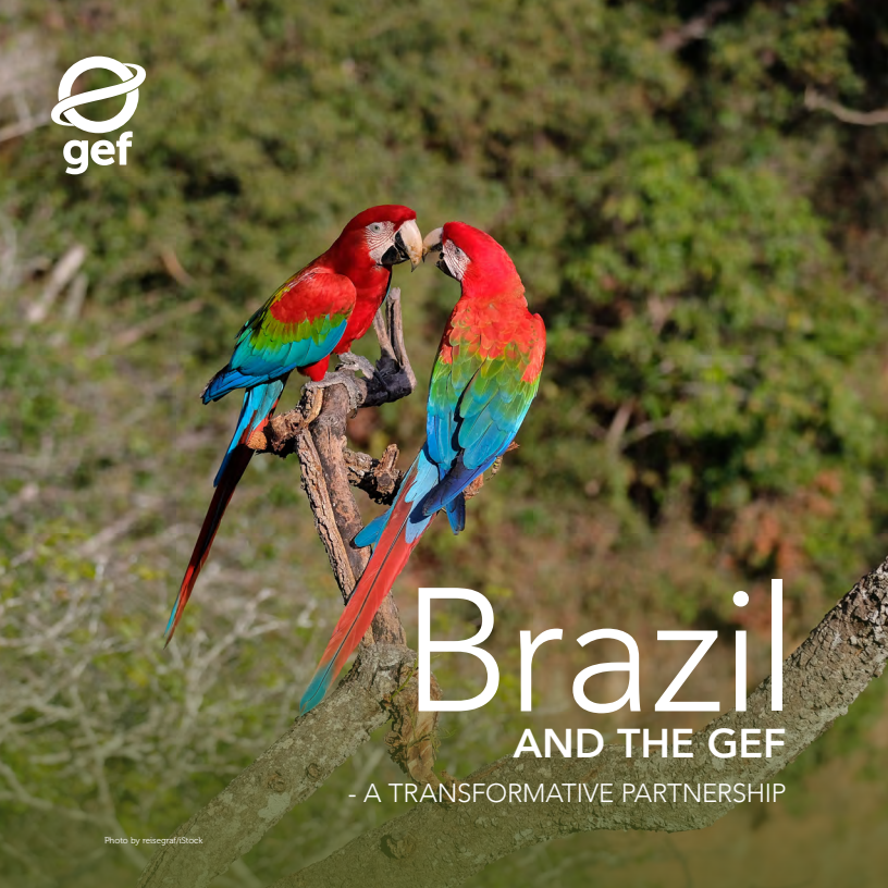 Brazil and the GEF - A Transformative Partnership