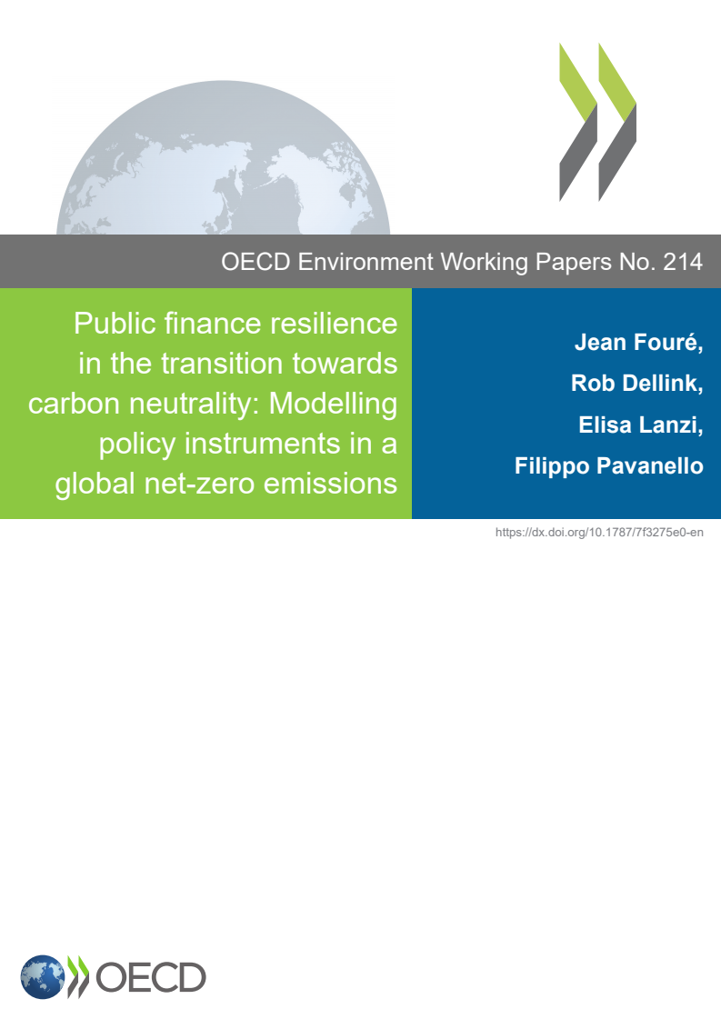 Public finance resilience in the transition towards carbon neutrality: Modelling policy instruments in a global net-zero emissions