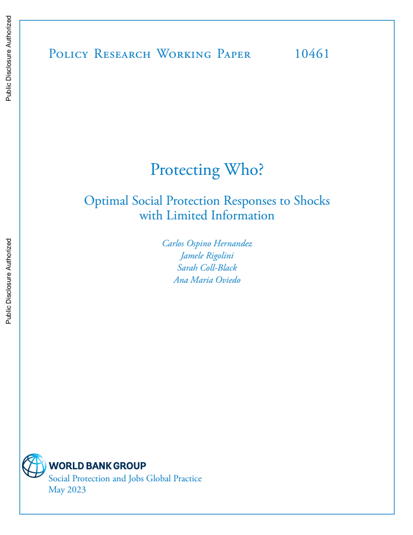 Protecting Who?: Optimal Social Protection Responses to Shocks with Limited Information