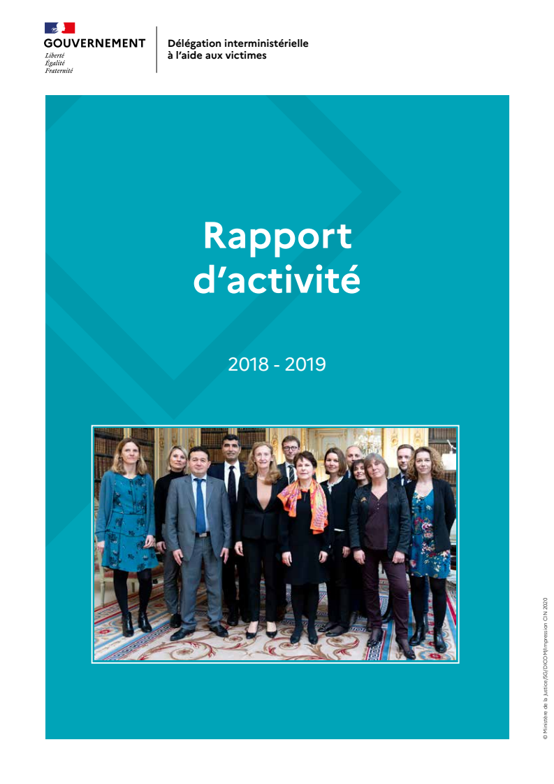 Rapport d'activité de la DIAV 2018 - 2019