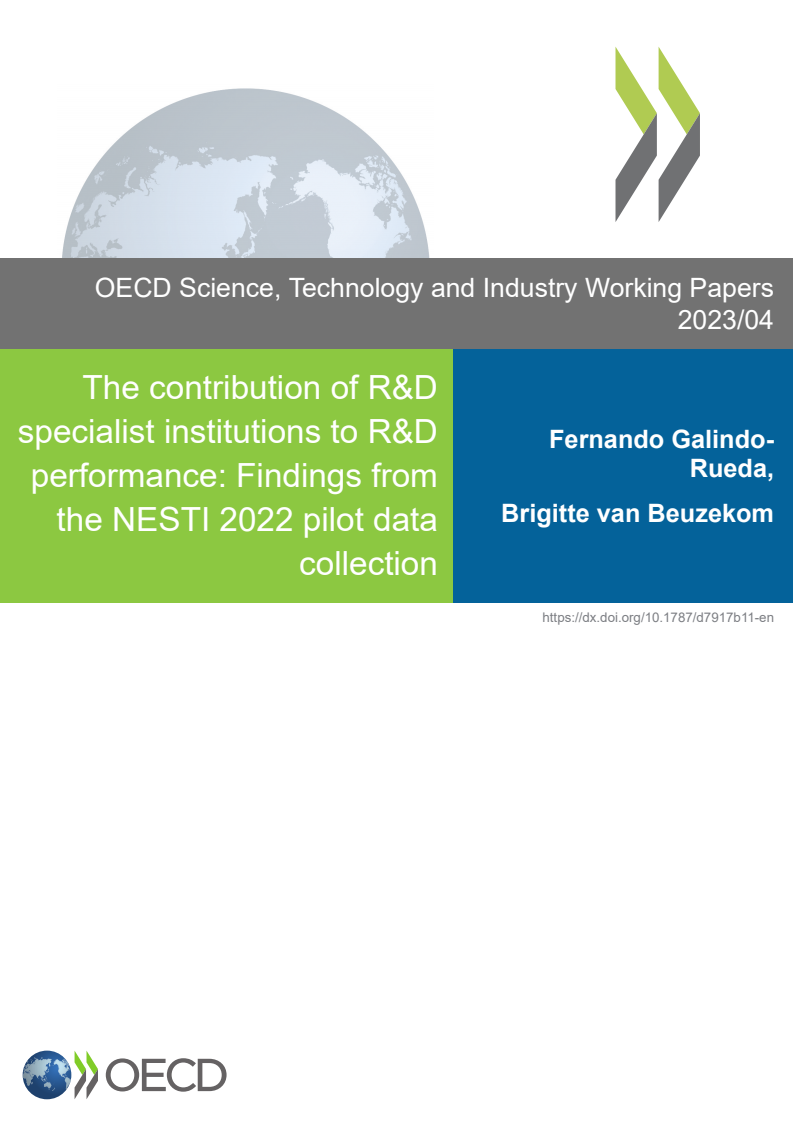 The contribution of R&D specialist institutions to R&D performance: Findings from the NESTI 2022 pilot data collection