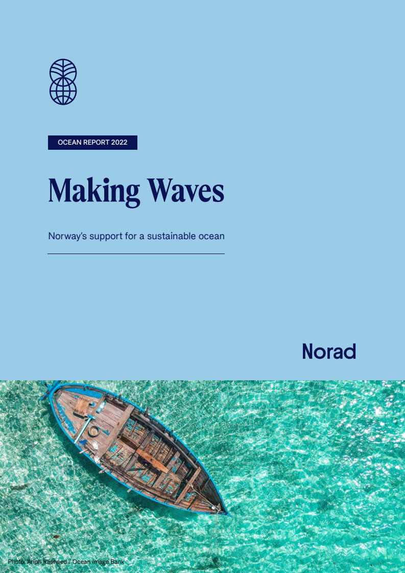 Ocean report 2022: Making Waves Norway's support for a sustainable ocean