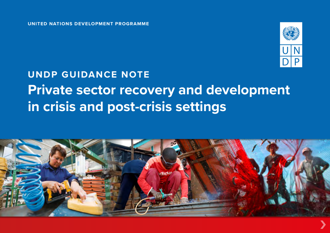 Private Sector Recovery and Development in Crisis and Post-crisis Settings