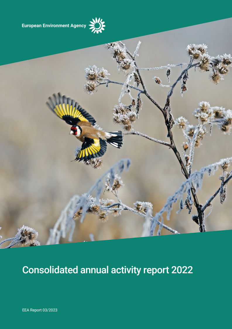 Consolidated annual activity report 2022