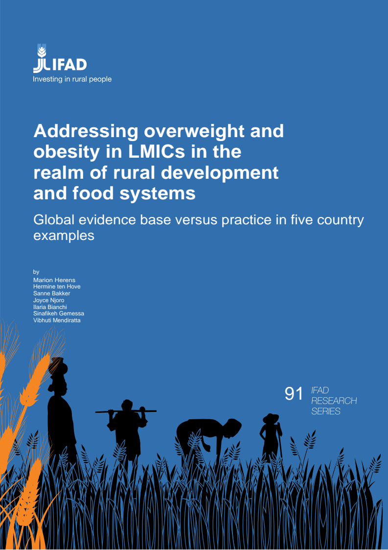Addressing overweight and obesity in LMICs in the realm of rural development and food systems