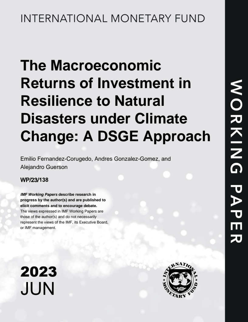 The Macroeconomic Returns of Investment in Resilience to Natural Disasters under Climate Change: A DSGE Approach