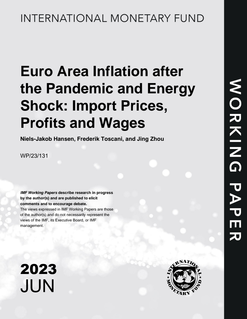 Euro Area Inflation after the Pandemic and Energy Shock: Import Prices, Profits and Wages