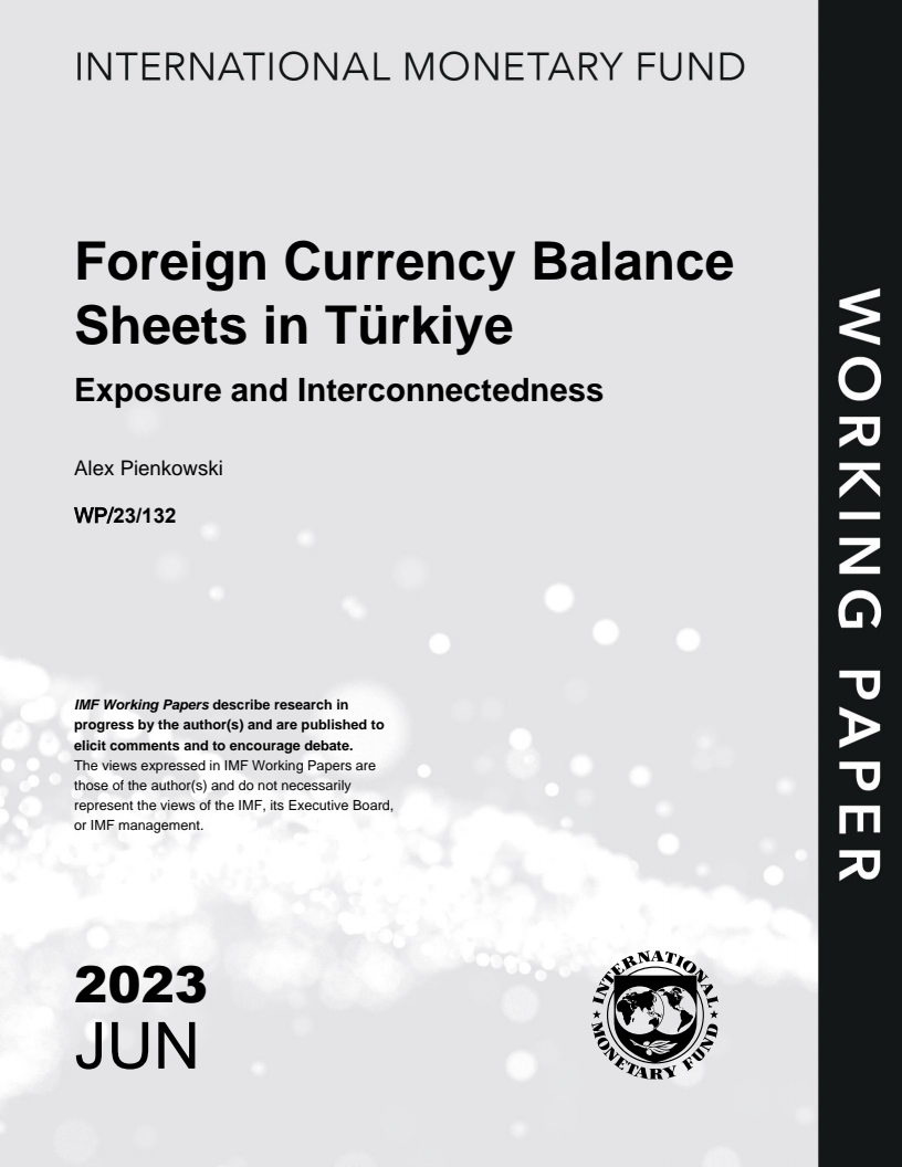 Foreign Currency Balance Sheets in Türkiye: Exposure and Interconnectedness