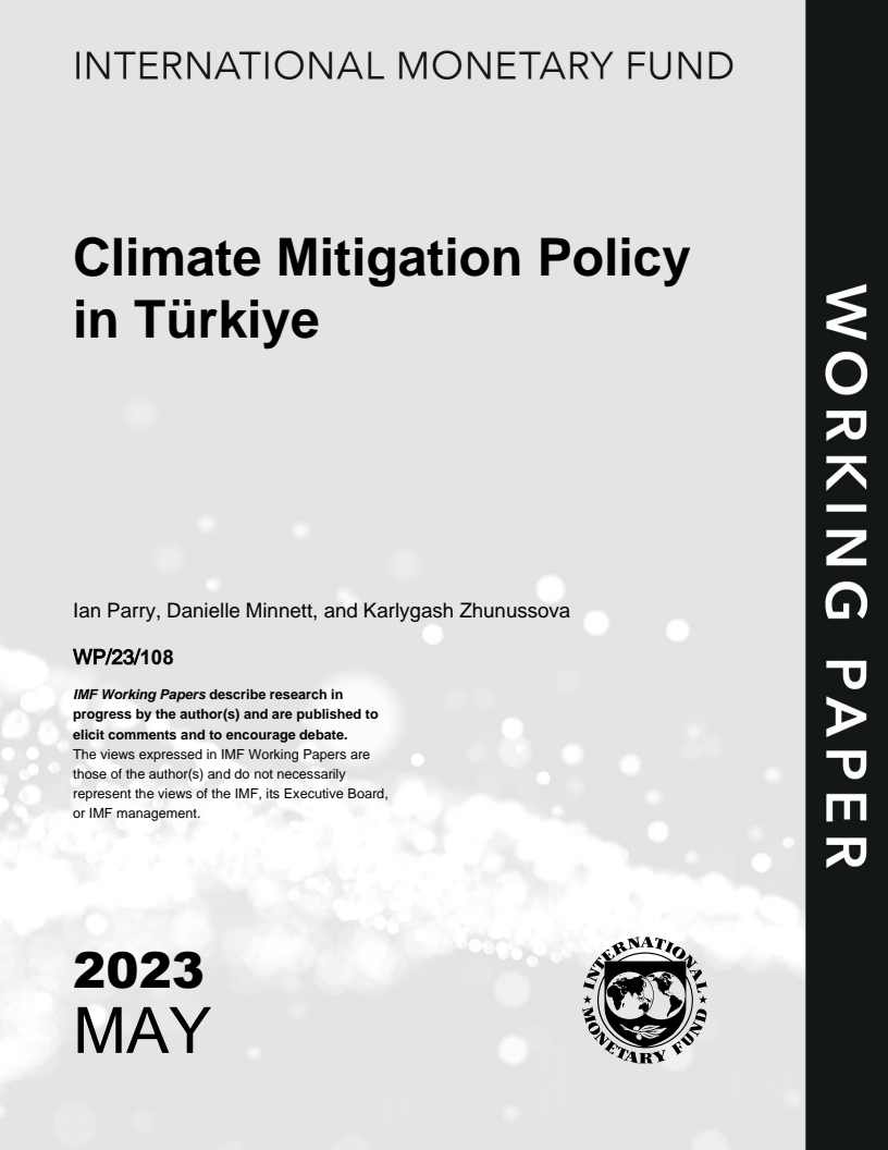 Climate Mitigation Policy in Türkiye