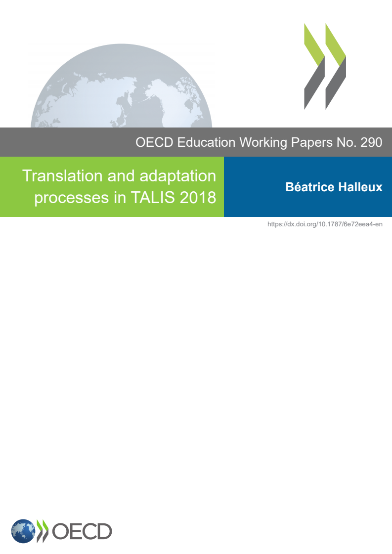 Translation and adaptation processes in TALIS 2018