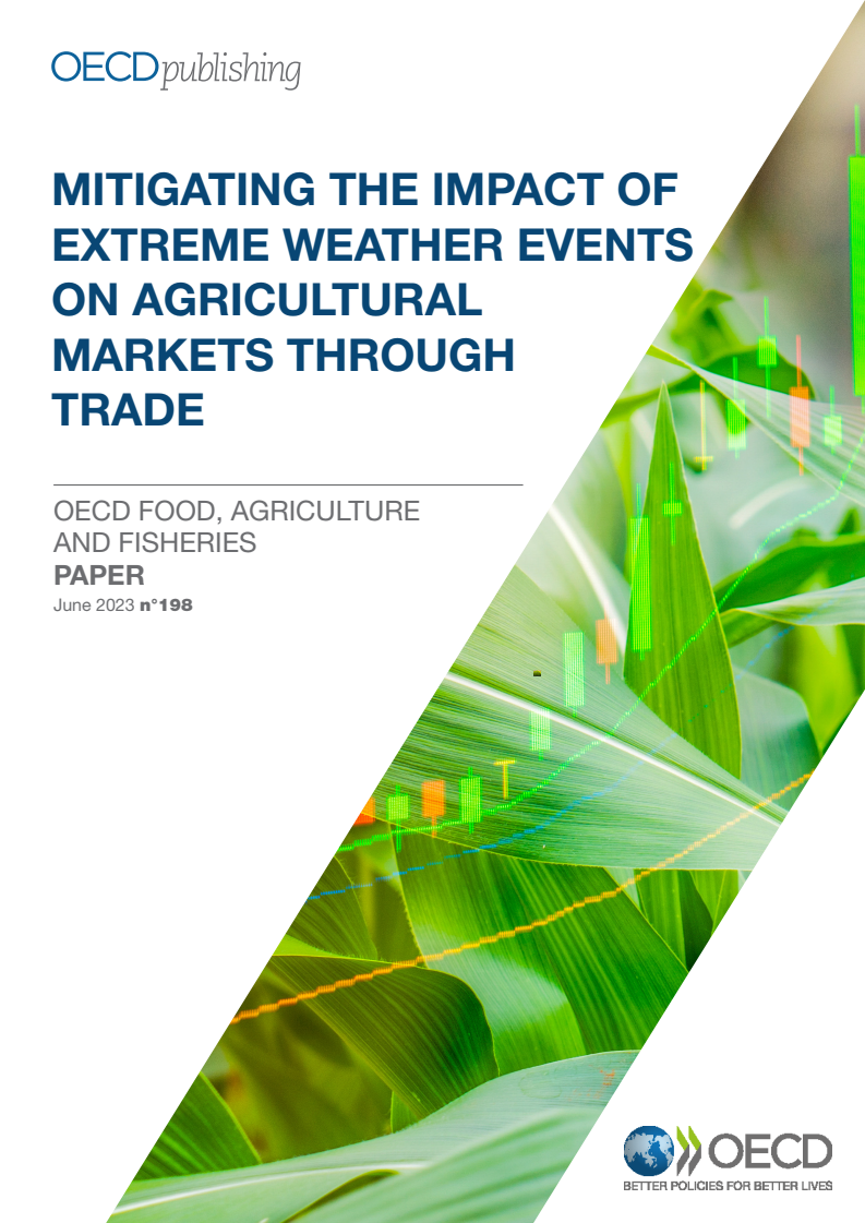 Mitigating the impact of extreme weather events on agricultural markets through trade