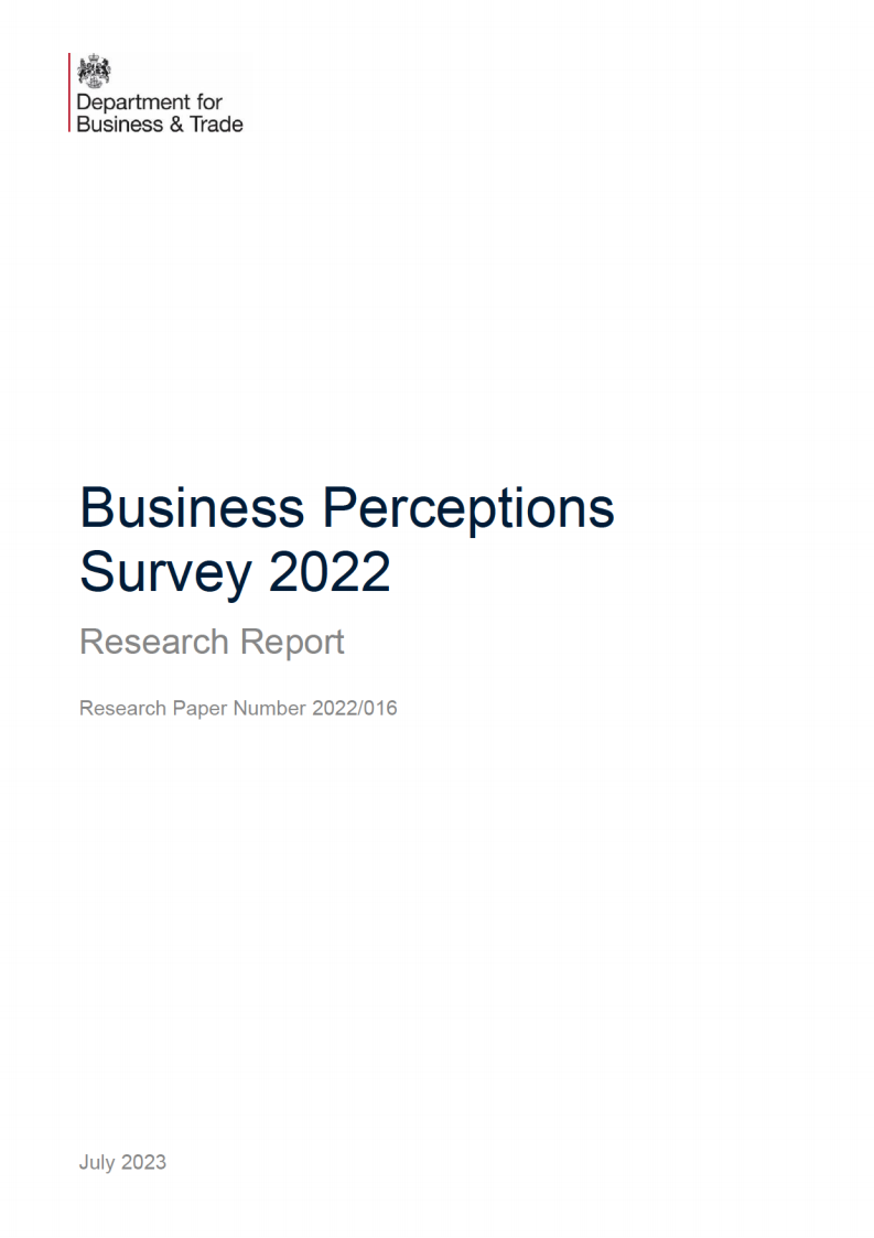 Business Perceptions Survey 2022