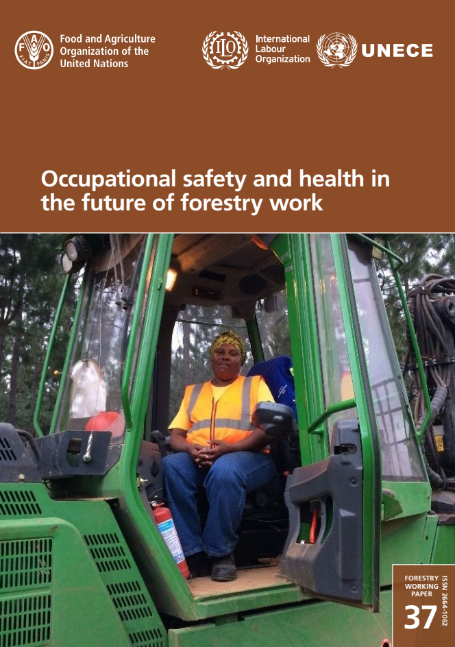 Occupational safety and health in the future of forestry work