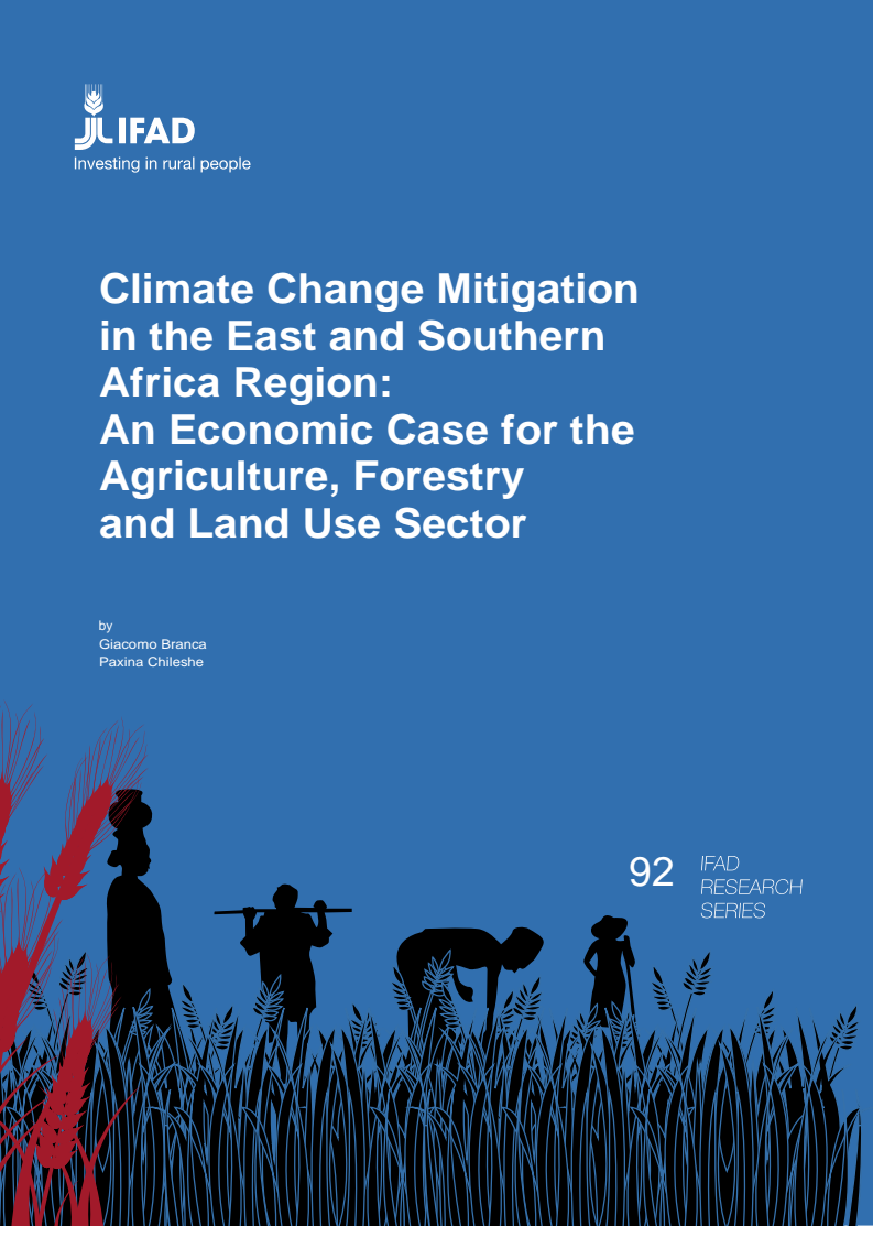 Climate Change Mitigation in the East and Southern Africa Region: An Economic Case for the Agriculture, Forestry and Land Use Sector