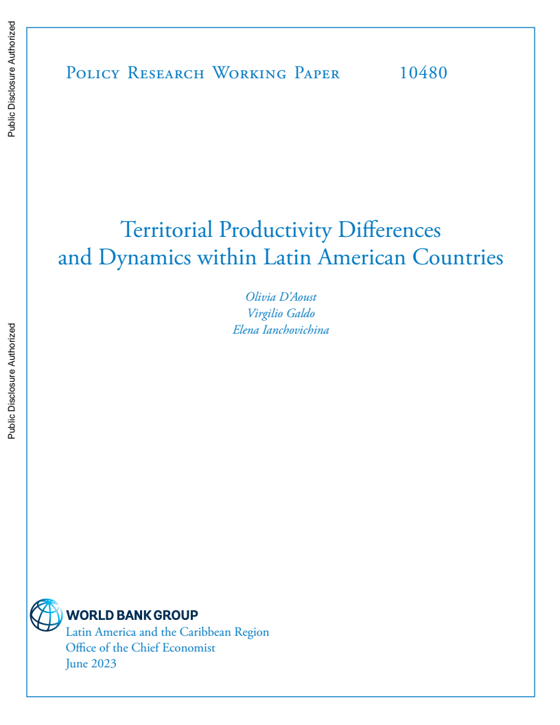 Territorial Productivity Differences and Dynamics within Latin American Countries