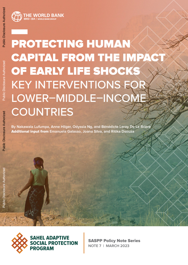 Protecting Human Capital from the Impact of Early Life Shocks : Key Interventions for Lower-Middle-Income Countries