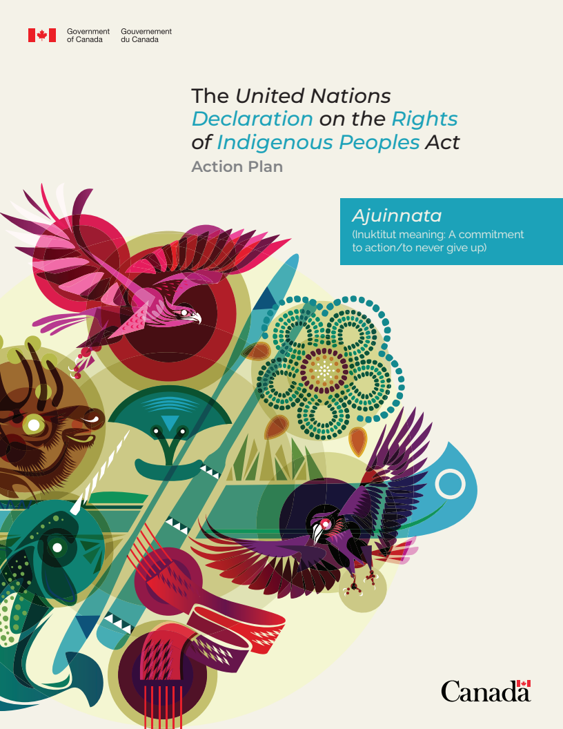 United Nations Declaration on the Rights of Indigenous Peoples Act action plan