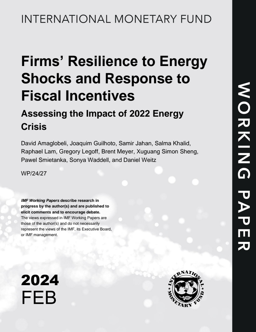 에너지 충격에 대한 기업의 회복력과 재정 인센티브 대응 : 2022년 에너지 위기의 영향 평가 (Firms' Resilience to Energy Shocks and Response to Fiscal Incentives: Assessing the Impact of 2022 Energy Crisis)
