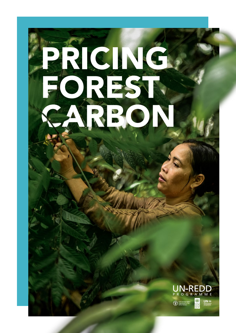 산림 탄소 가격 책정 (Pricing Forest Carbon)