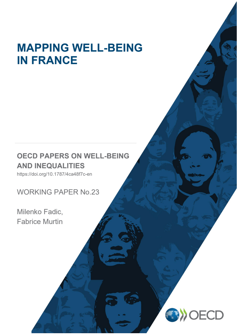 프랑스의 웰빙 매핑 (Mapping well-being in France)