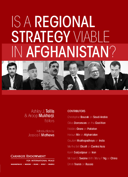 지역적 전략, 아프가니스탄에서 실행 가능한가? (Is a Regional Strategy Viable in Afghanistan?)