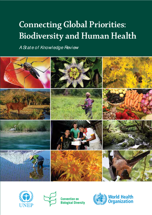 글로벌 우선과제의 연계 : 생물다양성과 보건 : 지식 수준 점검 (Connecting Global Priorities: Biodiversity and Human Health: A state of knowledge review)