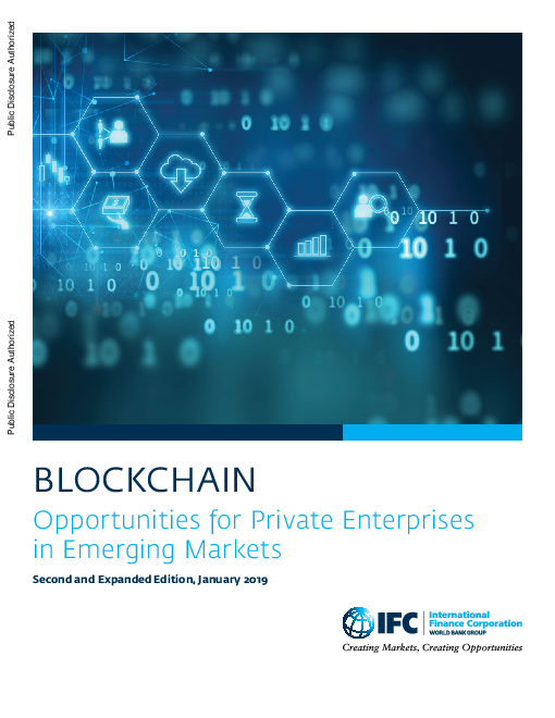 블록체인 : 신흥 시장의 민간 기업에 대한 기회, 제2판 및 확장판 (Blockchain: Opportunities for Private Enterprises in Emerging Markets, Second and Expanded Edition)(2019)