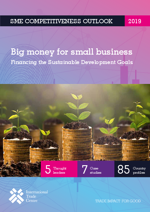 중소기업 투자 활성화 : 지속가능발전목표 자금 조달 (Big Money for Small Business: Financing the Sustainable Development Goals)