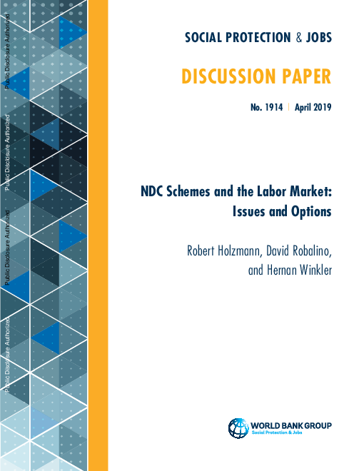 공적연금제도 및 노동 시장 관련 사안 및 선택지 (NDC Schemes and the Labor Market: Issues and Options)(2019)