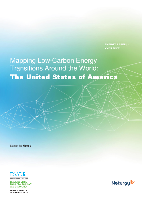 전 세계 저탄소 에너지 전환 지도 : 미국 (Mapping low-carbon energy transitions around the world: The United States of America)(2019)